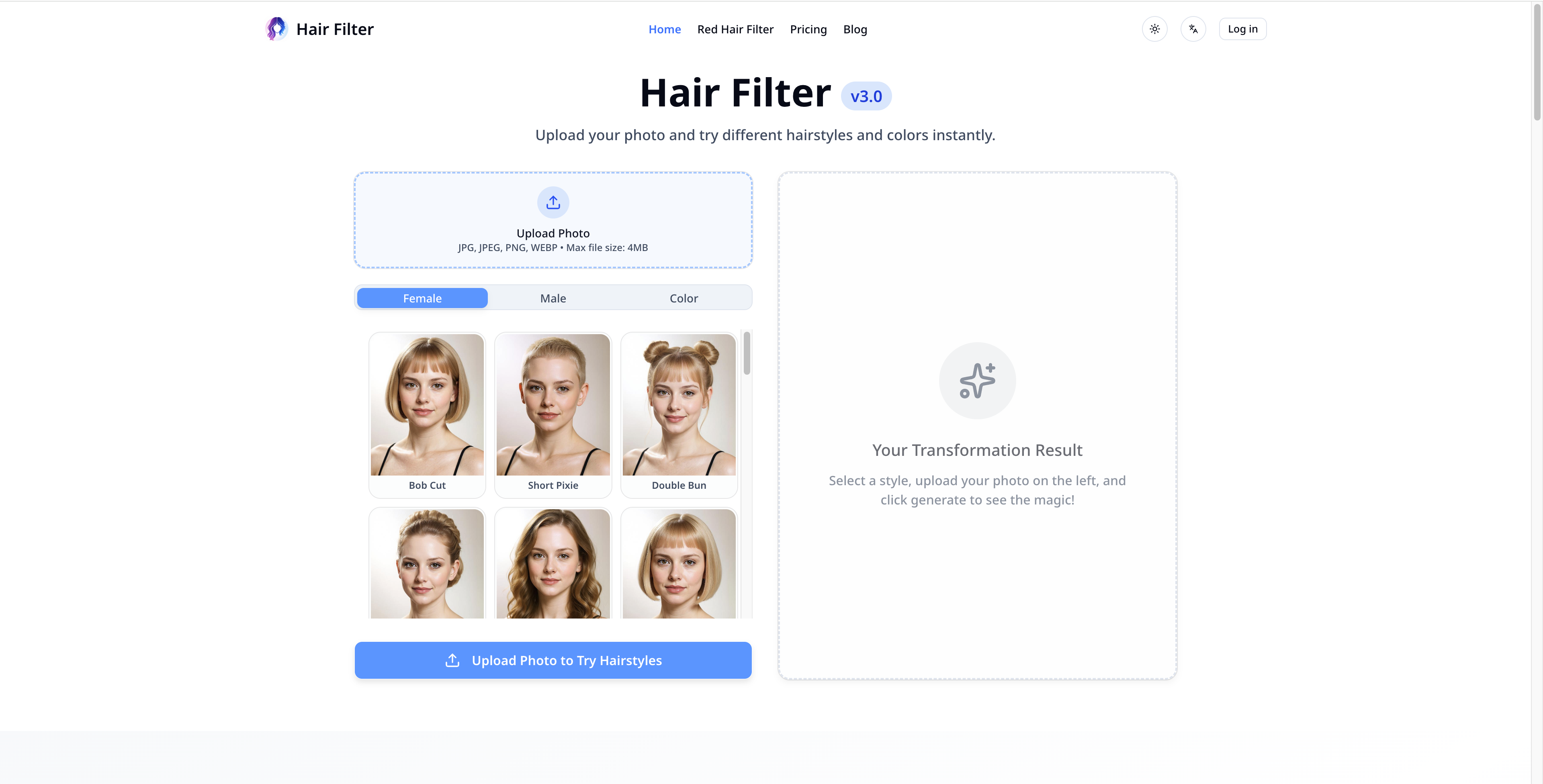Hair Filter