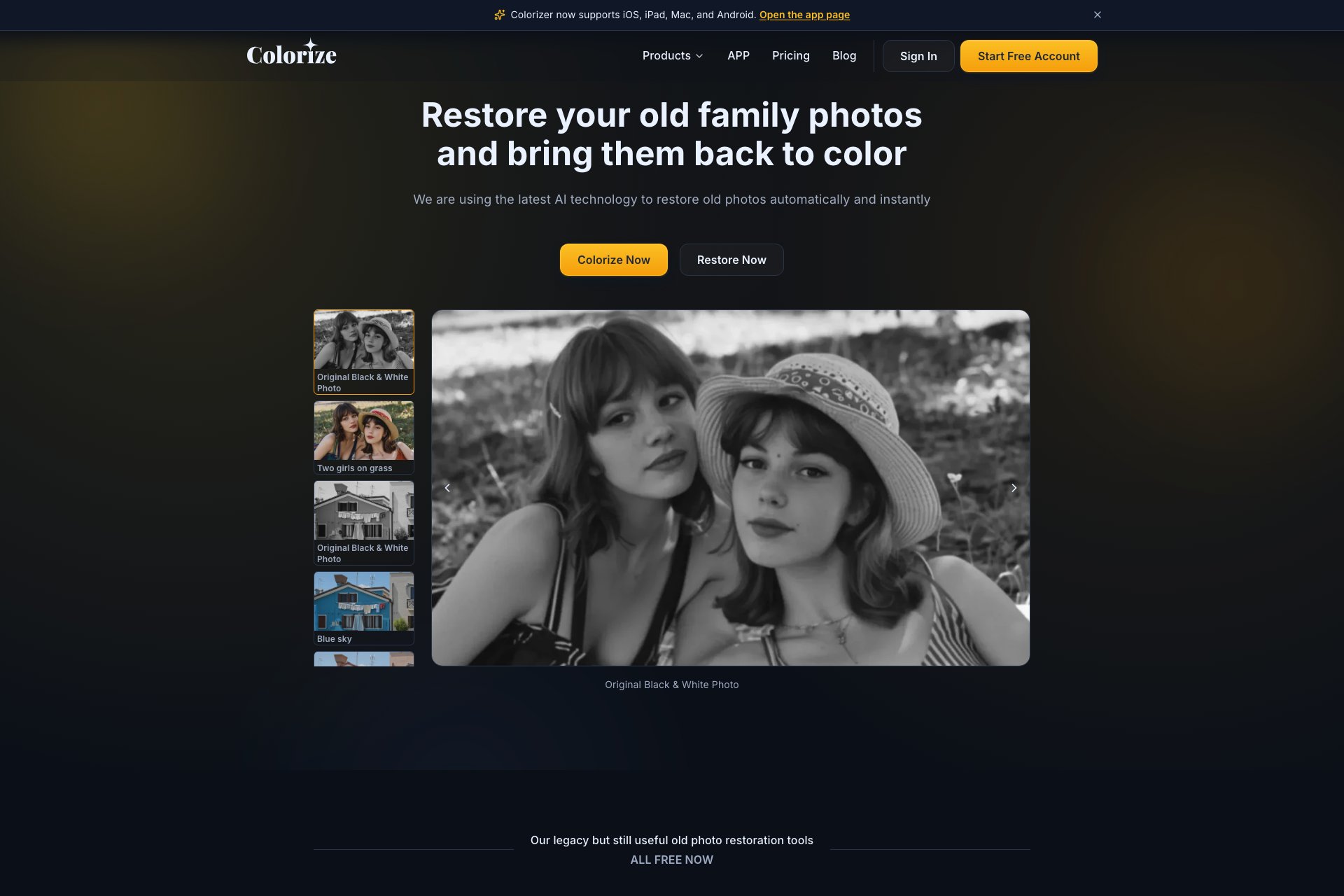 Imagecolorizer